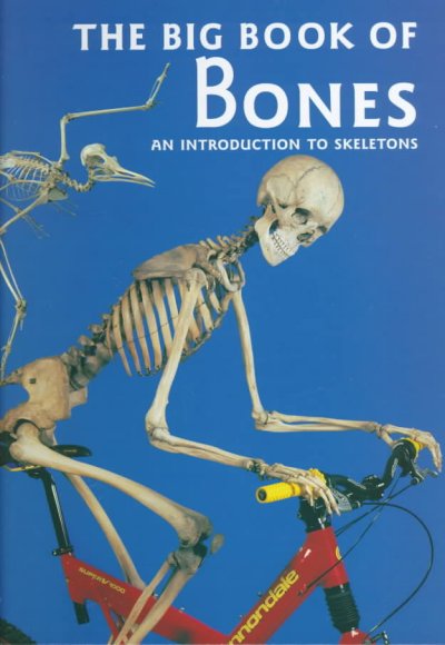 The big book of bones : an introduction to skeletons / Claire Llewellyn.