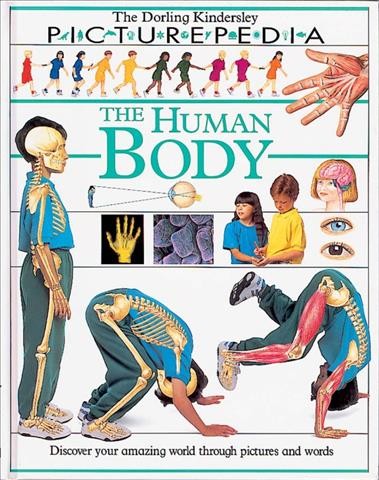 The Human body / Fiona Payne, editor.